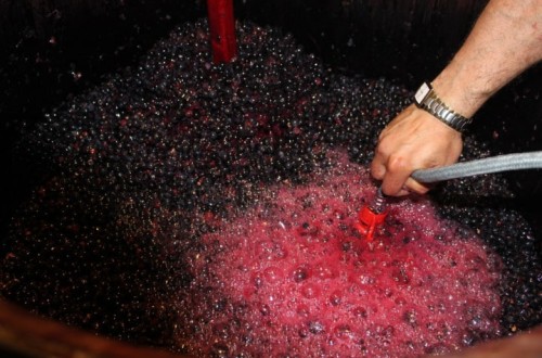 La Fiscalía Europea anuncia una condena por fraude a ayudas en el sector del vino en España