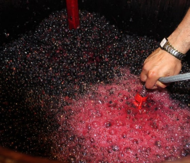 La Fiscalía Europea anuncia una condena por fraude a ayudas en el sector del vino en España