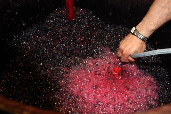 La Comisión Europea permite que un vino con DOP pueda vinificarse en las «inmediaciones» de su zona de producción