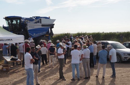 El demotour de Agromillora de recolección de almendro en seto llega a Badajoz