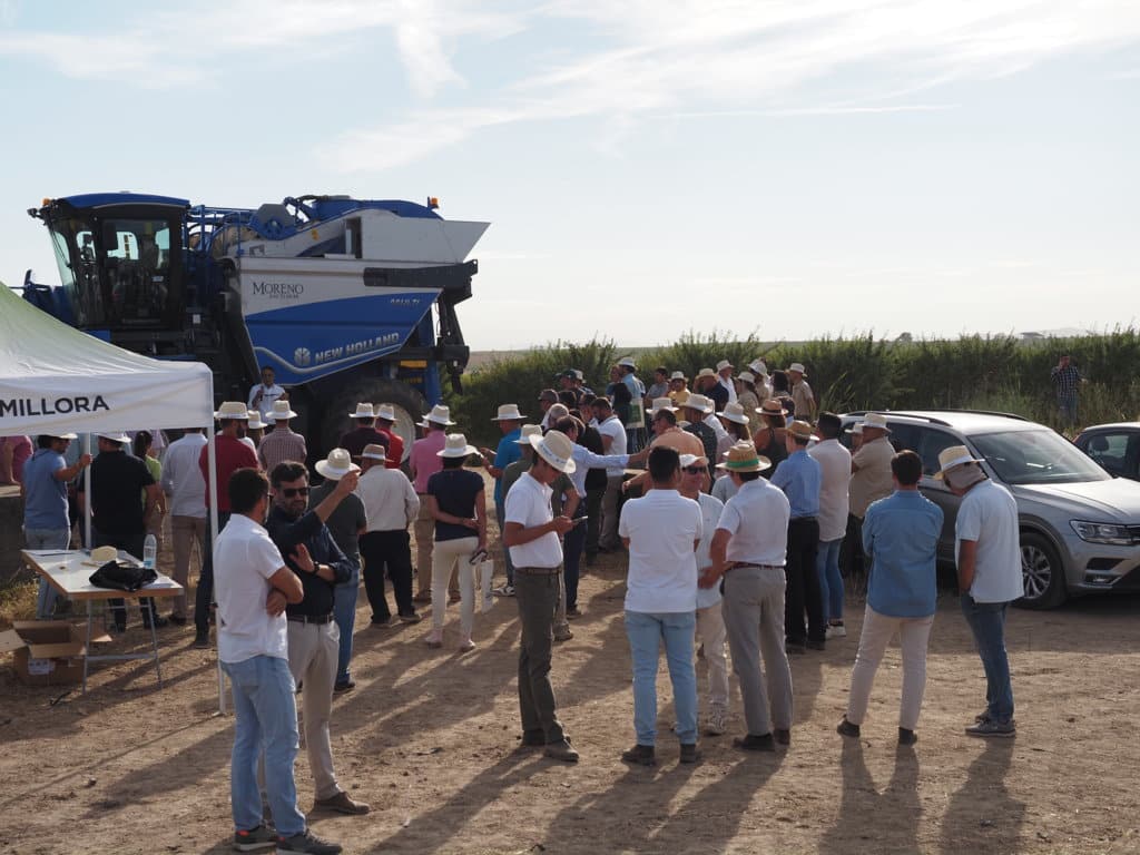 El demotour de Agromillora de recolección de almendro en seto llega a Badajoz