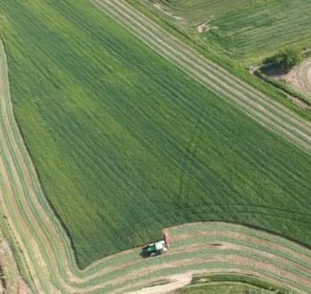 La alfalfa empieza a cotizar en la Lonja de León a 150 euros la tonelada
