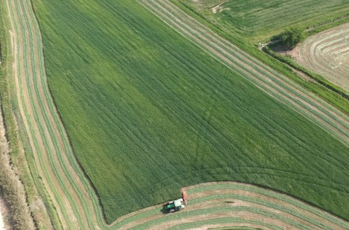 La alfalfa empieza a cotizar en la Lonja de León a 150 euros la tonelada