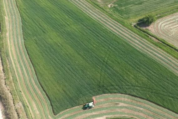 La alfalfa empieza a cotizar en la Lonja de León a 150 euros la tonelada