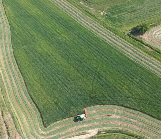 La alfalfa empieza a cotizar en la Lonja de León a 150 euros la tonelada