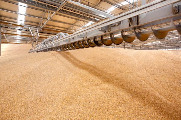 Ucrania, principal suministrador de cereales a España desde que empezó la guerra
