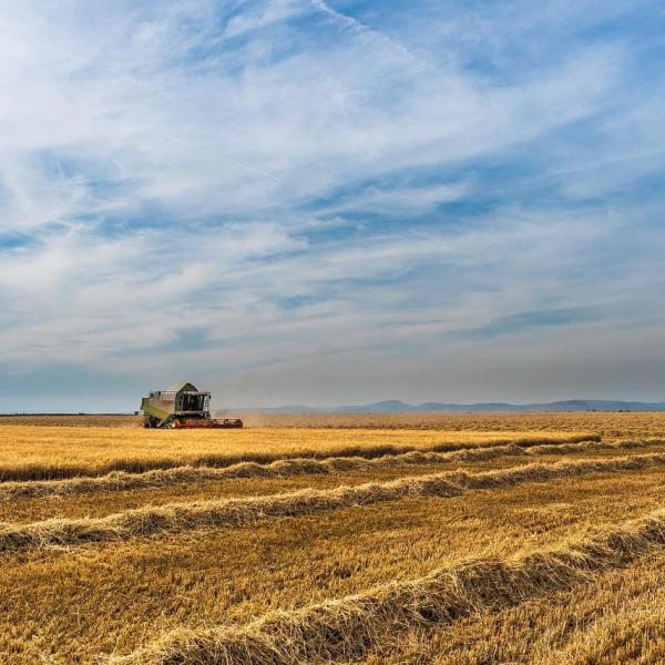 Más de 12 millones de euros a jóvenes agricultores y ganaderos que inician su actividad en España