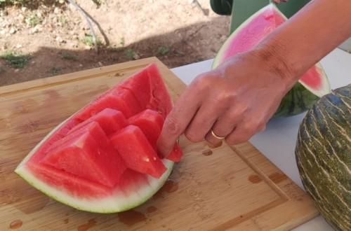 Los productores españoles de melón y sandía celebran la recuperación de la normalidad en el campo