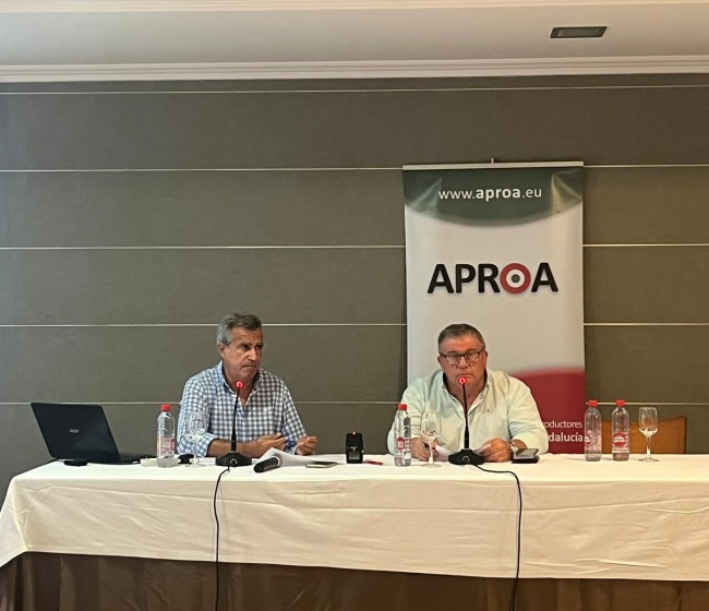 APROA aprueba el programa operativo 2024-2028 para sus OPFHs andaluzas asociadas