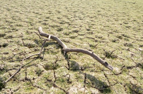 Unos 1.700 millones de personas viven en zonas donde los rendimientos de los cultivos están disminuyendo