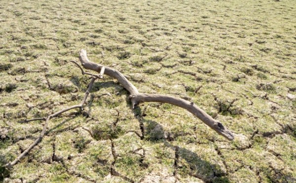 Unos 1.700 millones de personas viven en zonas donde los rendimientos de los cultivos están disminuyendo