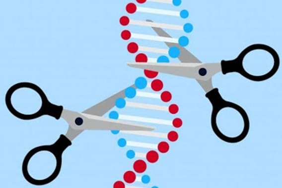 La CE da a conocer su propuesta legislativa sobre Nuevas Técnicas Genómicas de reproducción vegetal