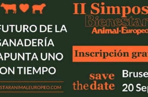Bruselas acoge mañana el II Simposio internacional sobre Bienestar Animal Europeo