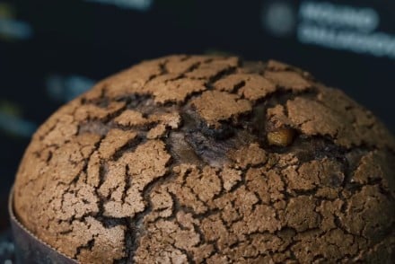 Barcelona albergará el próximo lunes un encuentro único alrededor del panettone
