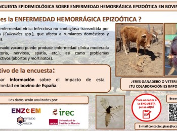 Se solicita información a veterinarios y ganaderos sobre la EHE