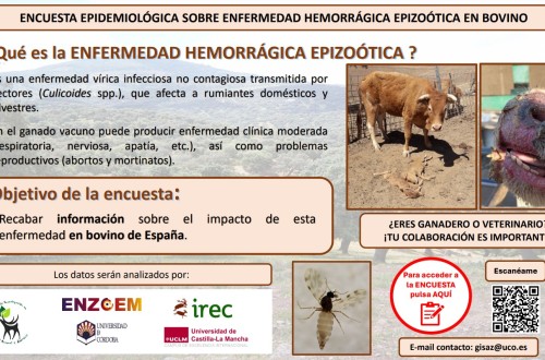 Se solicita información a veterinarios y ganaderos sobre la EHE