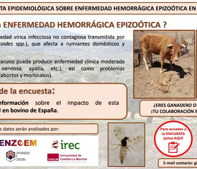 Se solicita información a veterinarios y ganaderos sobre la EHE