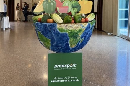 La Asamblea General de Proexport recuerda la importancia del sector hortofrutícola y sus grandes retos