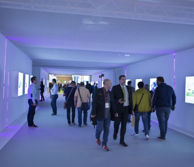 Quince productos innovadores, finalistas de los Premios Fruit Attraction 2023