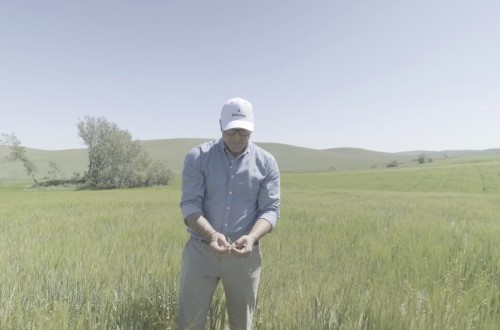 Cerveza Heineken a partir de cebada con baja huella de carbono, gracias a los fertilizantes Impact Zero de Fertiberia