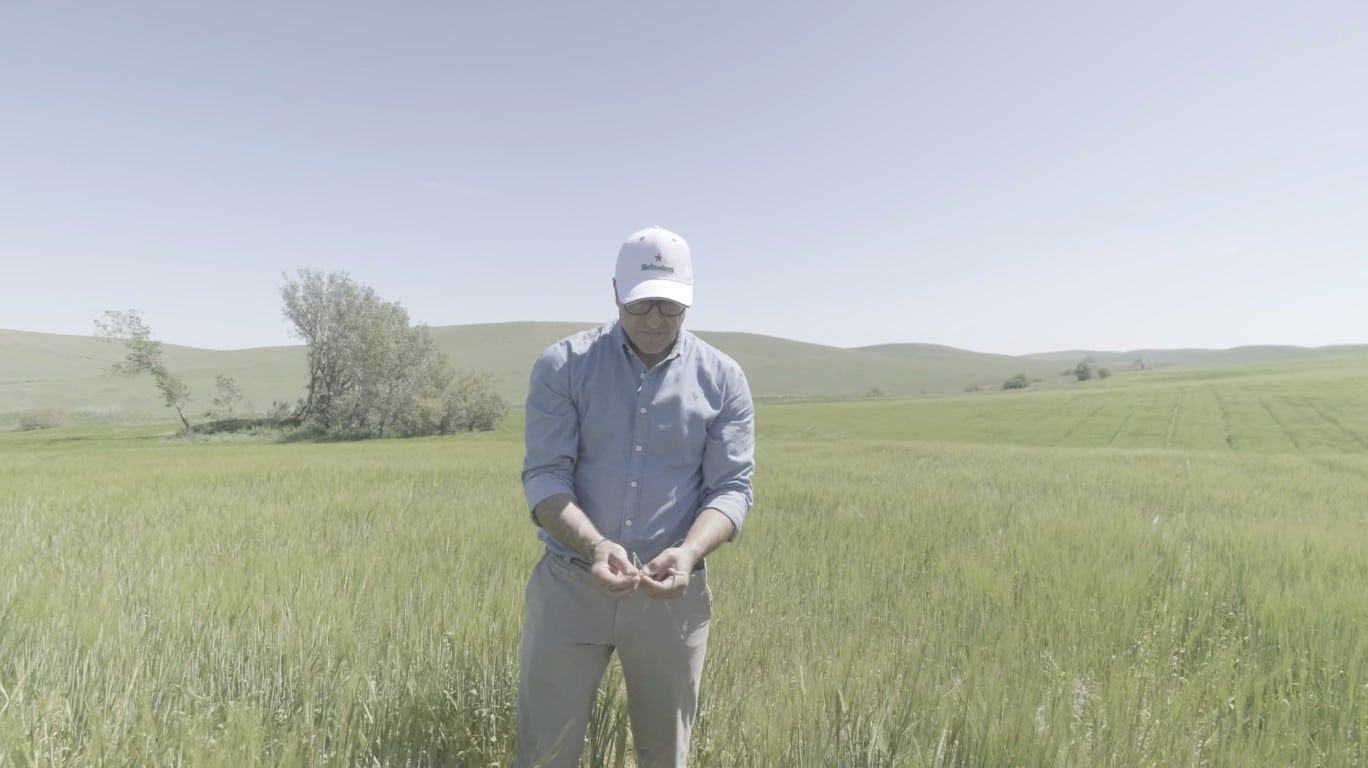 Cerveza Heineken a partir de cebada con baja huella de carbono, gracias a los fertilizantes Impact Zero de Fertiberia