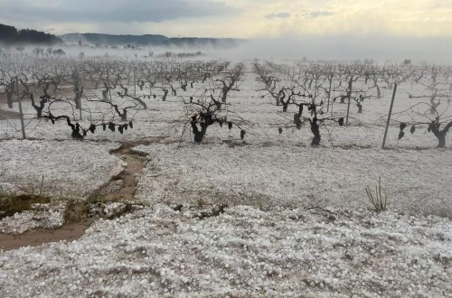 Las tormentas de este fin de semana afectan a más de 22.000 ha de cultivo en la Comunidad Valenciana