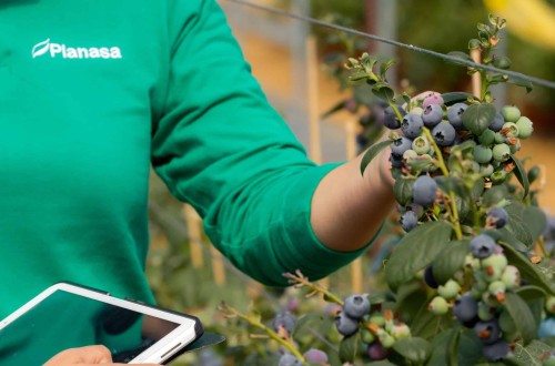 El holding alemán EW Group adquiere Planasa