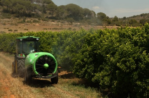 Extremadura convoca ayudas para el asesoramiento técnico en materia fitosanitaria