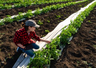 Soluciones digitales para adaptar nuestra hortofruticultura a un clima más cálido y cambiante