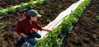 Soluciones digitales para adaptar nuestra hortofruticultura a un clima más cálido y cambiante