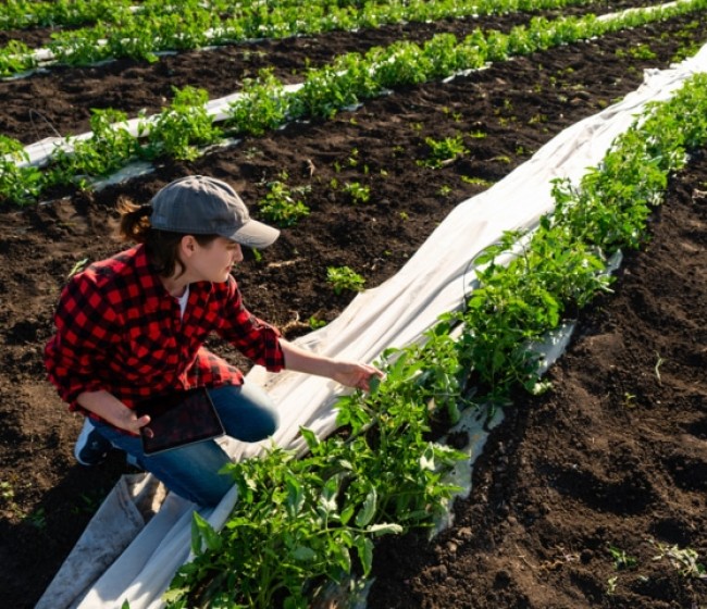Soluciones digitales para adaptar nuestra hortofruticultura a un clima más cálido y cambiante