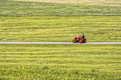 El desempleo en Agricultura bajó un 2,74% en el pasado mes de agosto