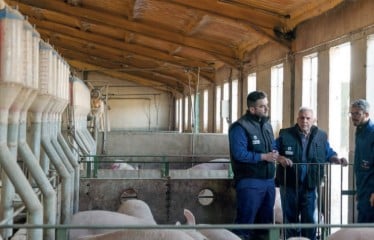 Las granjas porcinas refuerzan la formación para crecer