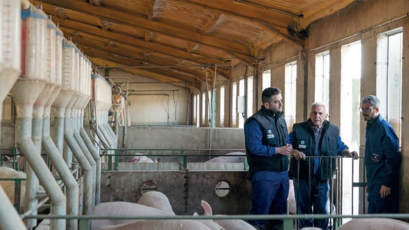 Las granjas porcinas refuerzan la formación para crecer