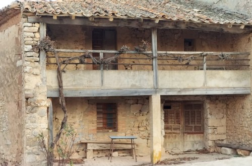 El papel clave de las políticas públicas para que la repoblación rural conlleve una mejora en el territorio