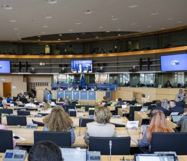 Planas reivindica una PAC con «presupuesto adecuado» ante la Comisión de Agricultura del Parlamento Europeo