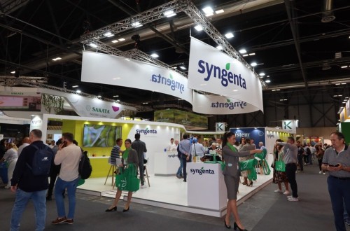 Un melón con indicador de su estado de maduración, entre las novedades de Syngenta en Fruit Attraction