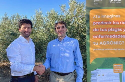 La herramienta Agrigenio de Basf, desde ahora disponible en la plataforma de agricultura de precisión Vegga