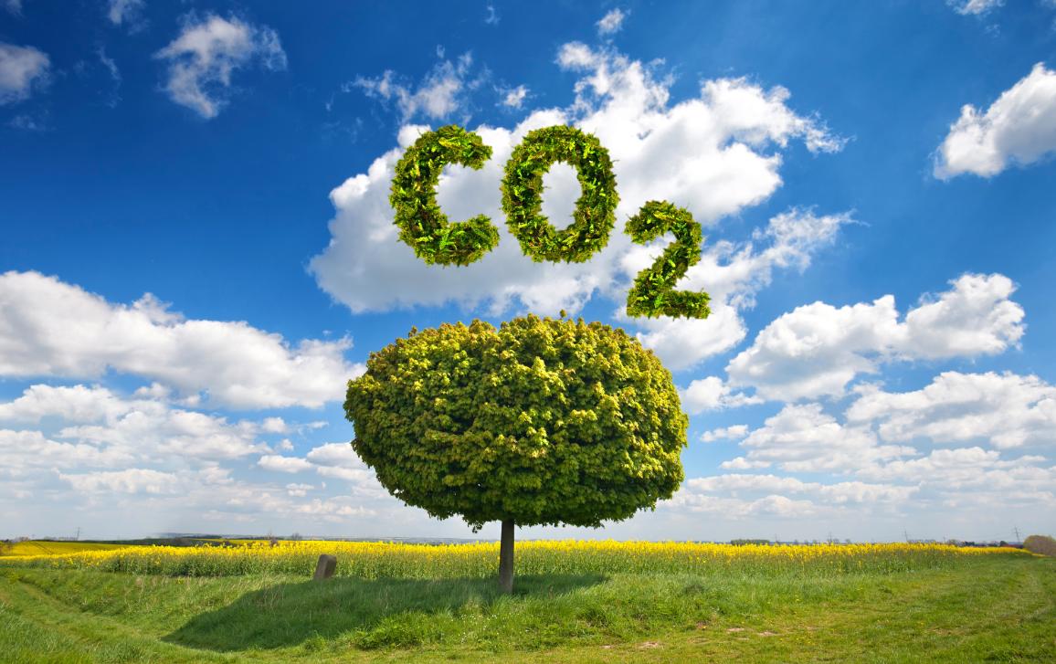 El Marco comunitario de Certificación para la Absorción de Carbono y la Agricultura de Carbono, algo más cerca