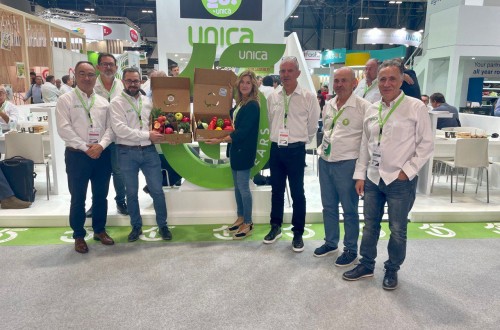 El proyecto CoFresh presenta las innovaciones de la «Caja Saludable» de ÚNICA