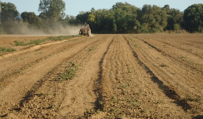 Eurostat: un 93% de las 9,1 millones de explotaciones agrarias de la UE son de gestión familiar
