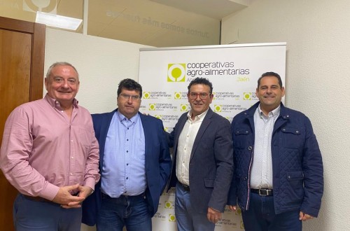 Primer acuerdo intercooperativo para molturar aceituna en común en Jaén en la campaña 2023/24