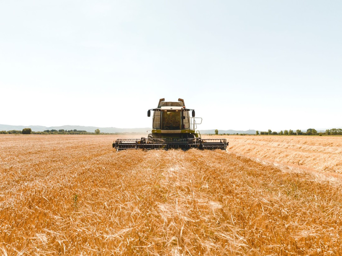 La FAO prevé un récord de existencias de cereales en el mundo al final de 2023/24