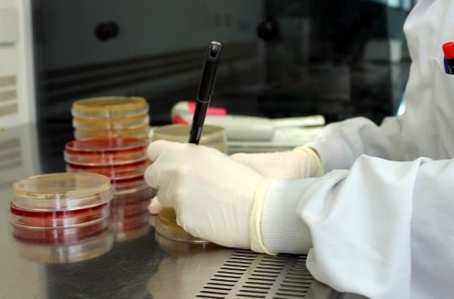 Cicytex impulsa la agroecología con “laboratorios vivos” para el control sostenible de malas hierbas