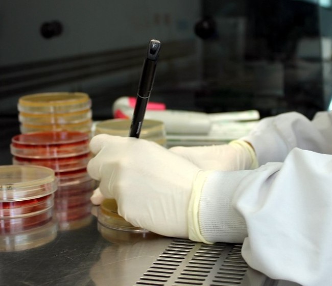 Cicytex impulsa la agroecología con “laboratorios vivos” para el control sostenible de malas hierbas
