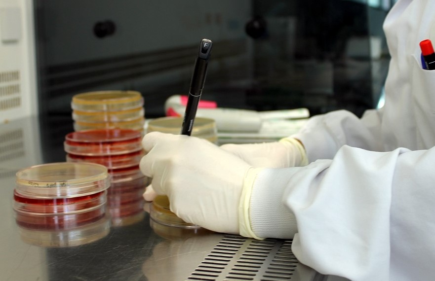 Cicytex impulsa la agroecología con “laboratorios vivos” para el control sostenible de malas hierbas