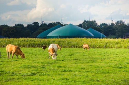 Cepsa se introduce en la producción de biometano a partir de residuos agrícolas y ganaderos