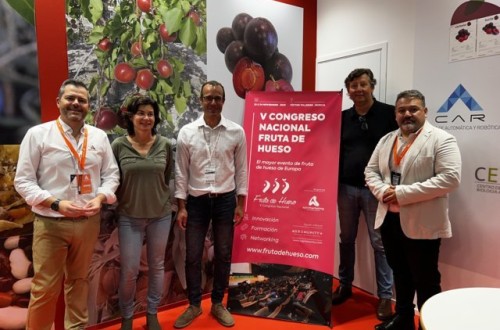 Murcia acoge la quinta edición del Congreso Nacional de Fruta de Hueso