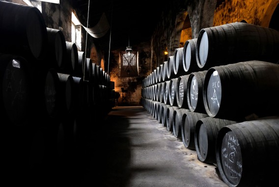 Unión de Uniones alerta de que el sector bodeguero concentra ya el 22% de las sanciones de la AICA en 2025