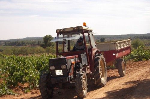 Cooperativas de Castilla-La Mancha rebaja a 32-33 Mhl la producción vitivinícola española 2023/24